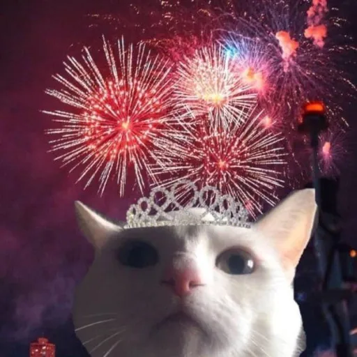 creator ◦•●◉✿ ALEXA✿◉●'s avatar