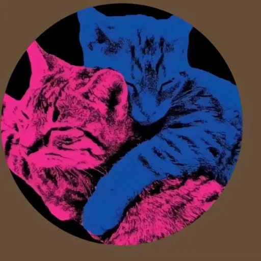 creator Niste omeasoo's avatar