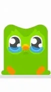 ai character: pet duolingo!!!!!! background
