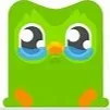 chat with ai character: pet duolingo!!!!!!