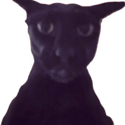 creator Ebl64's avatar