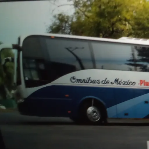 creator Omnibus De Mexico's avatar