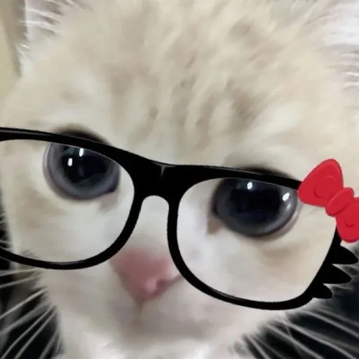 creator ★mangcoconut★'s avatar