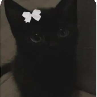 creator Urmom_yourgirl135's avatar