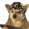 chat with ai character: your dog is mad