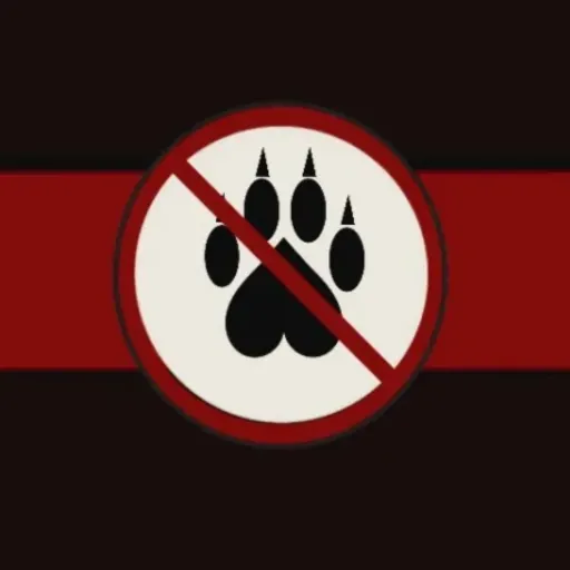 creator compañia anti-fury's avatar