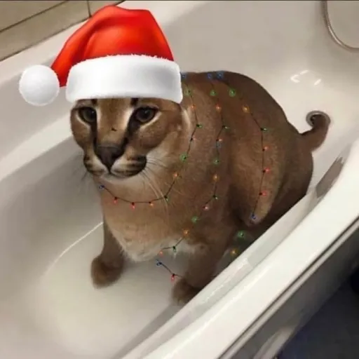 creator ♑⚡BIG.FLOPPA⚡♑'s avatar