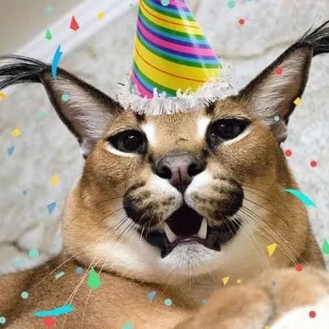 creator ♑⚡BIG.FLOPPA⚡♑'s avatar