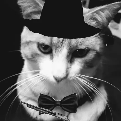 creator Señor Eskidend's avatar