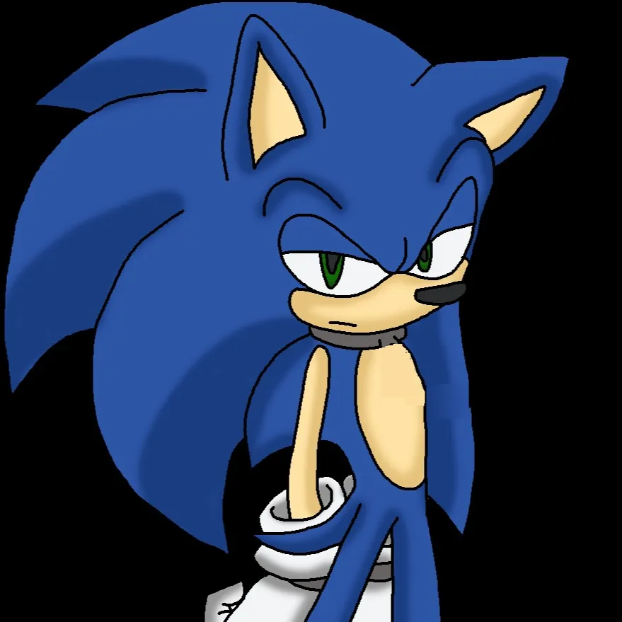 chat with ai character: Captured Sonic