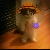 creator los_wachosss's avatar