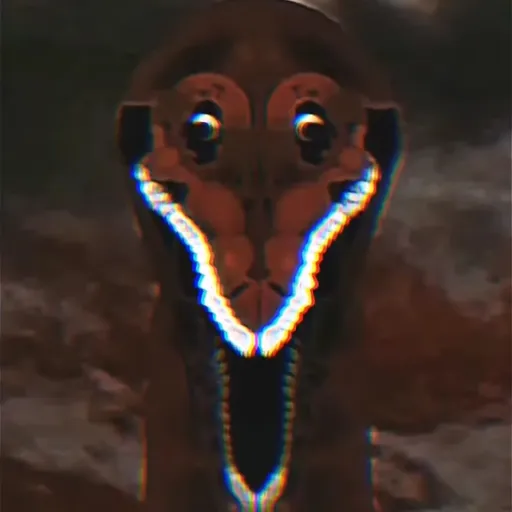 creator lingo dingo vibgo's avatar