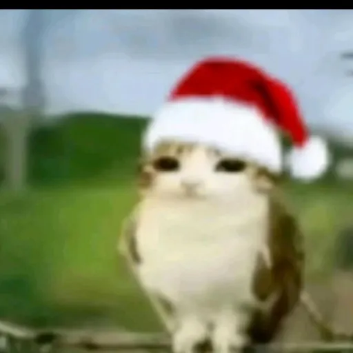 creator Meowl727's avatar