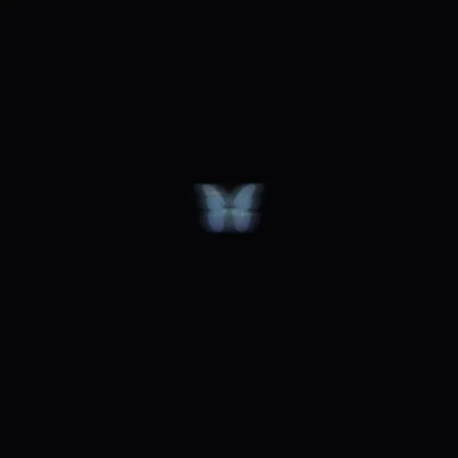 creator ᴀᴅʀɪᴀɴᴀ's avatar