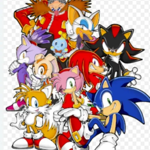 creator Sonic crew fan 1!'s avatar