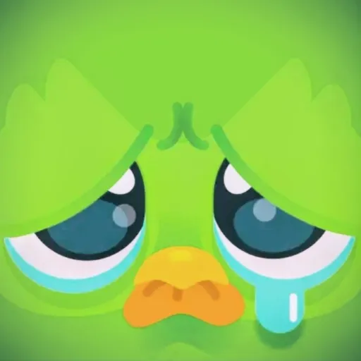 creator Duolingoooo's avatar