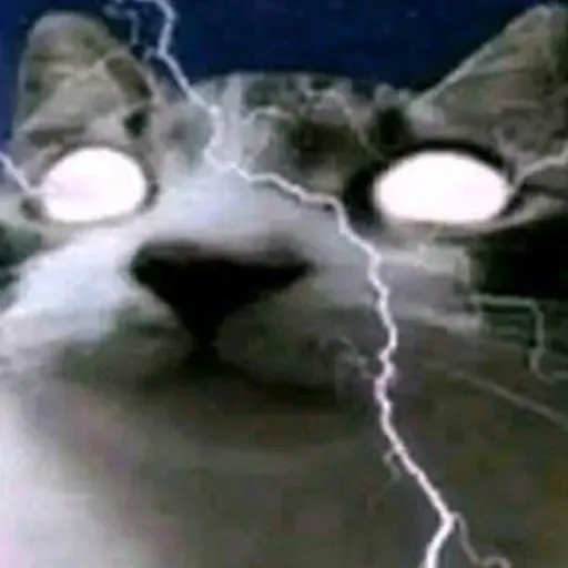 creator G G E Z's avatar