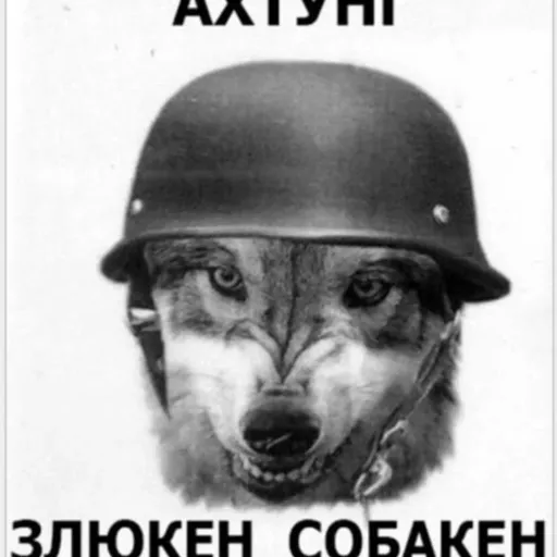 creator яйца клац's avatar