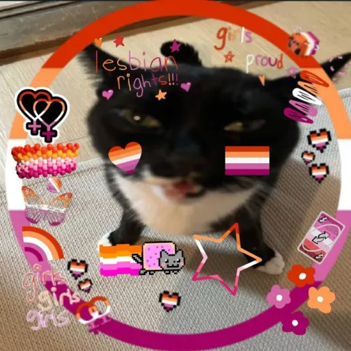 creator ♡~vica~♡'s avatar