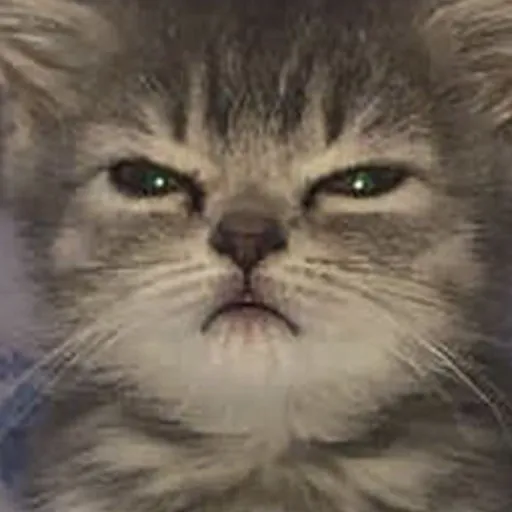 creator ðð©ð¢ðµ ðµð©ðŠ-'s avatar