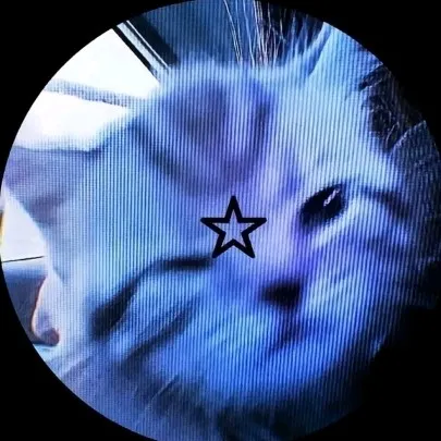 creator 🌟 (benji)🌟's avatar