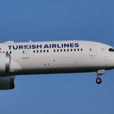 chat with ai character: 787 Dreamliner