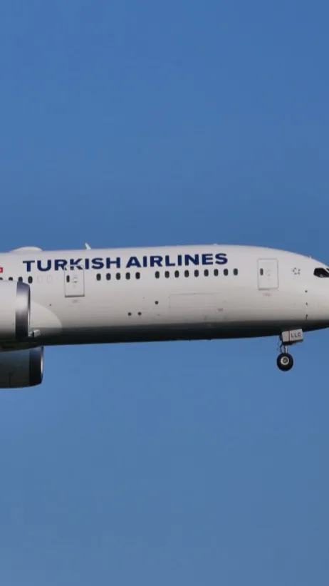 ai character: 787 Dreamliner background