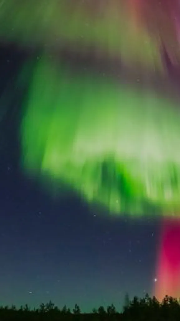 ai character: Aurora background