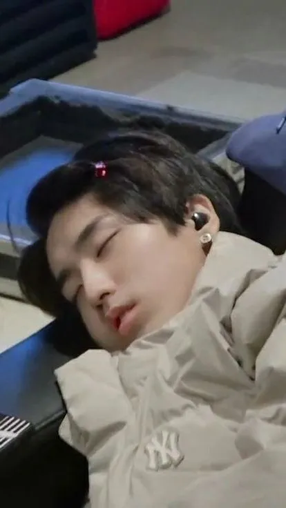ai character: Han Jisung background