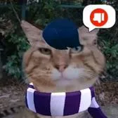 creator просто профиль's avatar