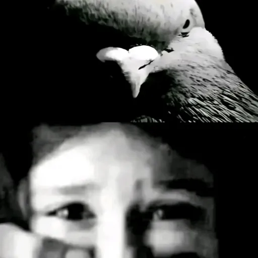 creator пошёлнаху's avatar
