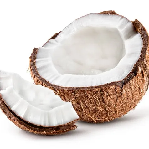 creator king dum coconut 🥥's avatar