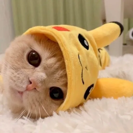 creator TheKittyLover:)'s avatar