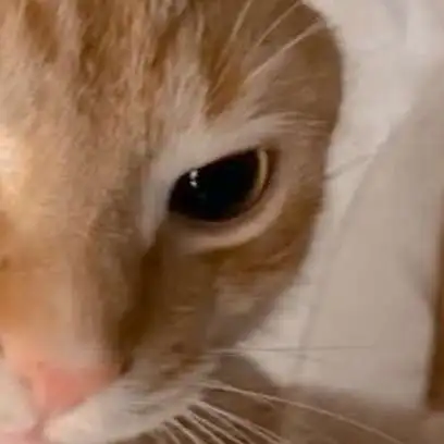 chat with ai character: desconocido..?