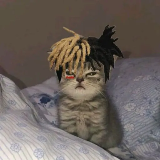 comment user avatar