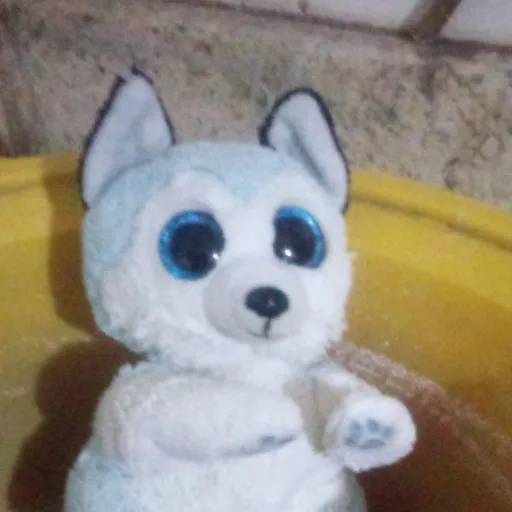 creator rexaxio el perro🔥's avatar