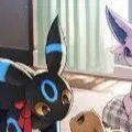 chat with ai character: Espeon and Umbreon