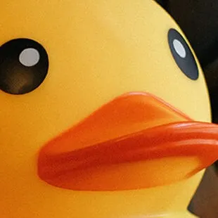 creator Mr.Quack1's avatar