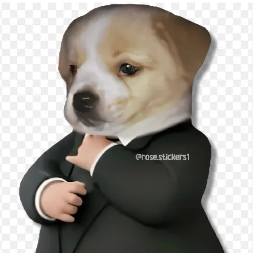 creator alex 2324's avatar