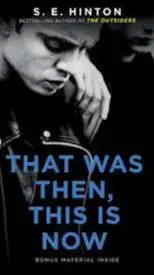 ai character: TWTTIN S.E Hinton background
