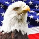 creator AMERICA fff's avatar