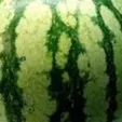 chat with ai character: watermelon 