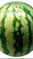 ai character: watermelon  background