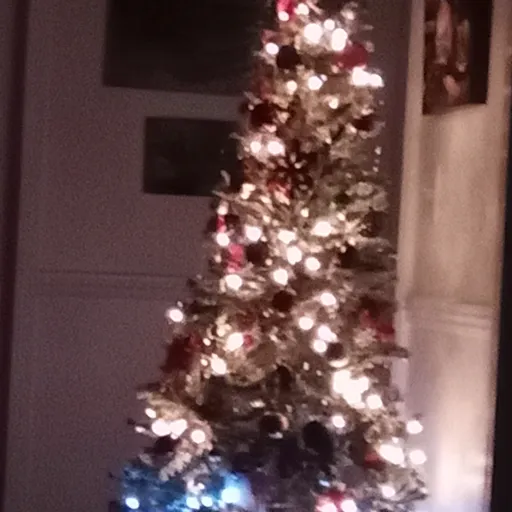 creator Talkior-VTdjJPrP's avatar