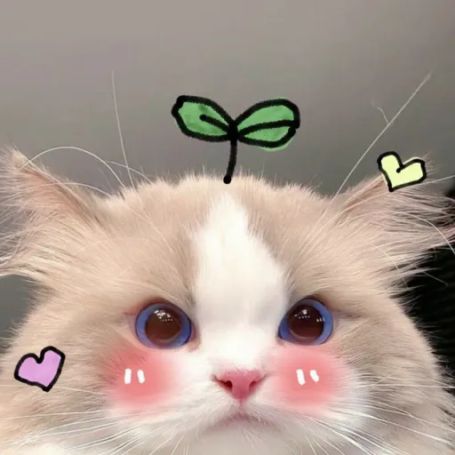 creator rᥱᥡ_ᥲȷᥲ's avatar