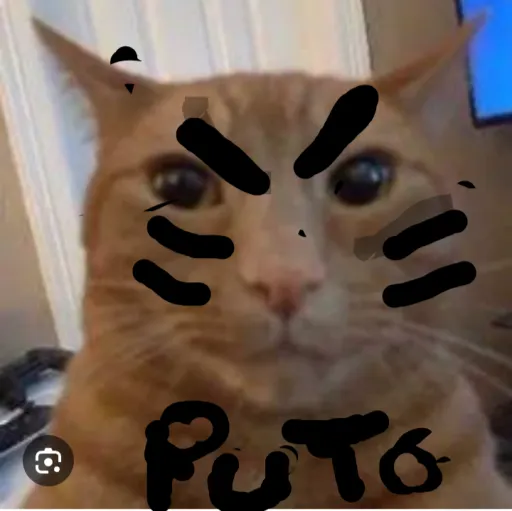 creator ...gato...'s avatar