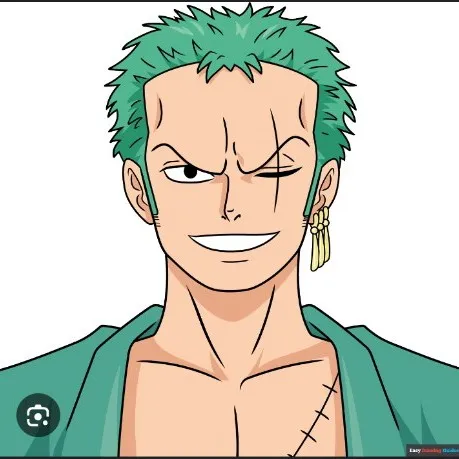 creator Zoroone-piece's avatar