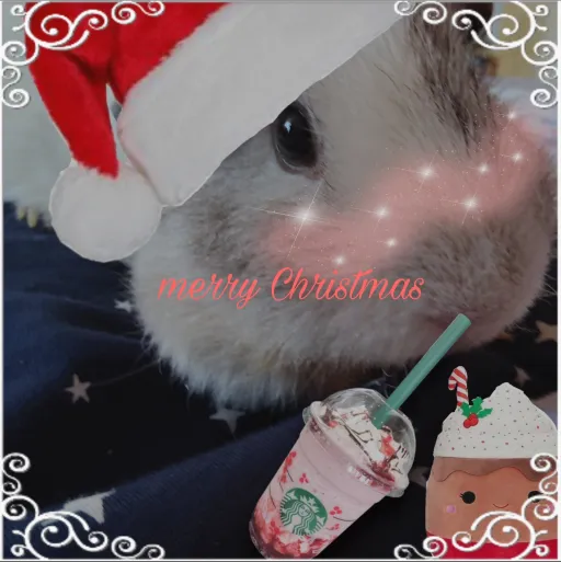 creator #~💜🐧ʟᴇssʙɪᴀɴ🐧💜~#'s avatar