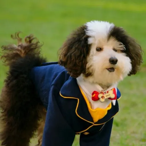 creator I LOVE WHIZ's avatar