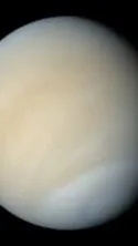 ai character: Venus background